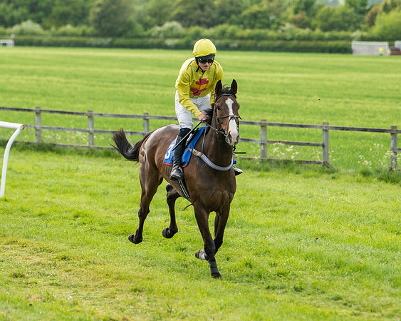 Race 6 - Maiden [2m4f] (22 of 135)