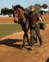 Race 1 - 4-5-6 Maiden (16 of 119).jpg