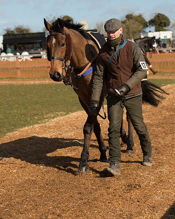 Race 1 - 4-5-6 Maiden (16 of 119).jpg