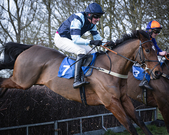 Race 2 - Maiden (88 of 145)