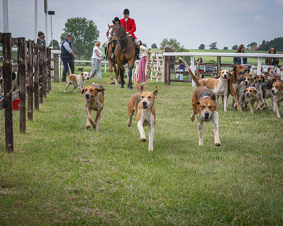 Race 1 - the Grafton adjacent hunts conditions race (level 2) (1 of 120)