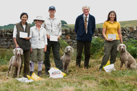 WCGB-27JUL-2013 Grouse Test Day  4