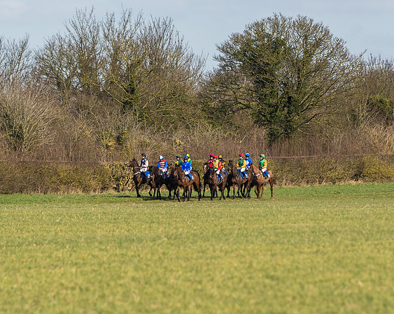 Race 1 - Open Maiden Division 1 (54 of 170)