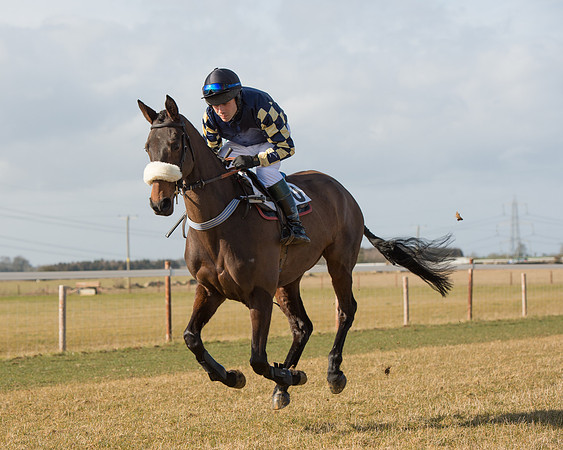 Race 1 - 4-5-6 Maiden (40 of 119).jpg