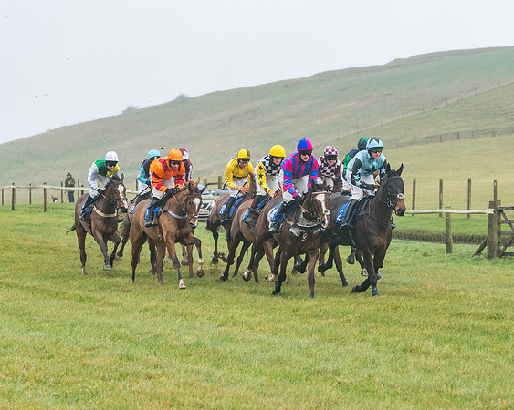 Race 1 - ITM 4 and 5 year Old Flat Race Div1 (9 of 86)