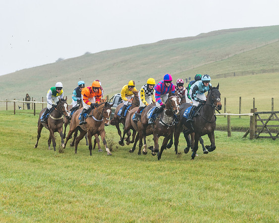 Race 1 - ITM 4 and 5 year Old Flat Race Div1 (10 of 86)