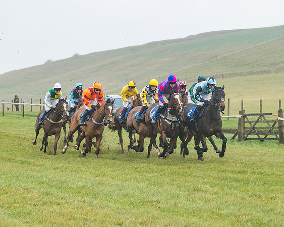 Race 1 - ITM 4 and 5 year Old Flat Race Div1 (11 of 86)