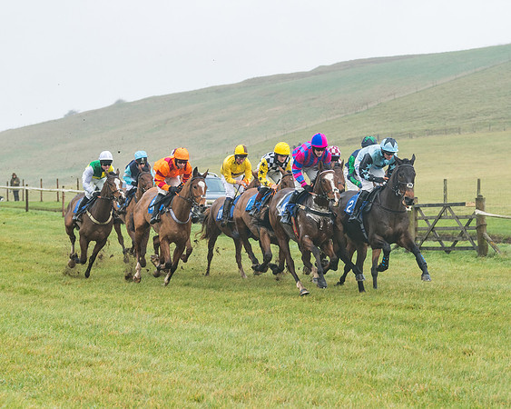 Race 1 - ITM 4 and 5 year Old Flat Race Div1 (12 of 86)