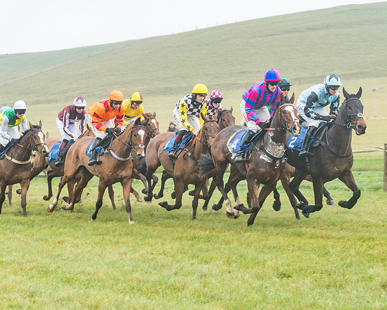 Race 1 - ITM 4 and 5 year Old Flat Race Div1 (14 of 86)