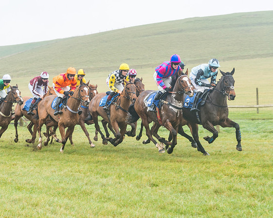 Race 1 - ITM 4 and 5 year Old Flat Race Div1 (15 of 86)