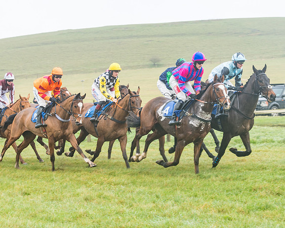 Race 1 - ITM 4 and 5 year Old Flat Race Div1 (16 of 86)