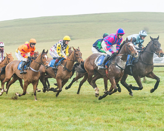 Race 1 - ITM 4 and 5 year Old Flat Race Div1 (17 of 86)