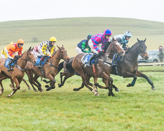 Race 1 - ITM 4 and 5 year Old Flat Race Div1 (18 of 86)