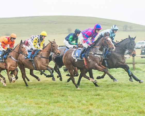 Race 1 - ITM 4 and 5 year Old Flat Race Div1 (19 of 86)