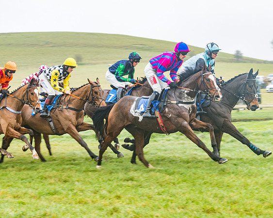 Race 1 - ITM 4 and 5 year Old Flat Race Div1 (20 of 86)