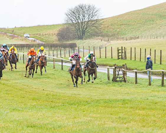 Race 1 - ITM 4 and 5 year Old Flat Race Div1 (31 of 86)