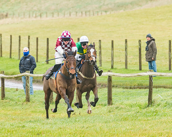 Race 1 - ITM 4 and 5 year Old Flat Race Div1 (33 of 86)