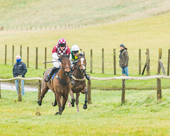 Race 1 - ITM 4 and 5 year Old Flat Race Div1 (34 of 86)