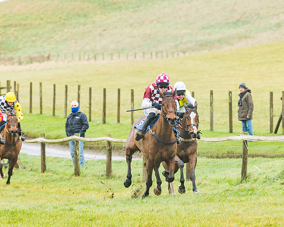 Race 1 - ITM 4 and 5 year Old Flat Race Div1 (35 of 86)