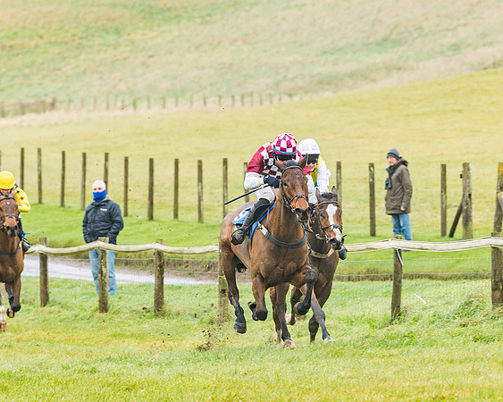 Race 1 - ITM 4 and 5 year Old Flat Race Div1 (36 of 86)
