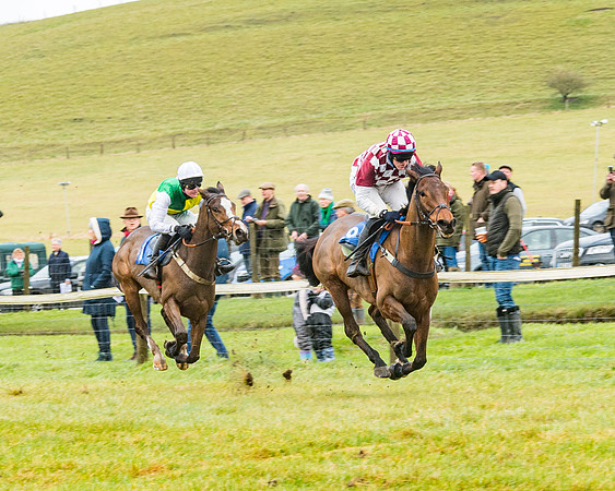 Race 1 - ITM 4 and 5 year Old Flat Race Div1 (47 of 86)