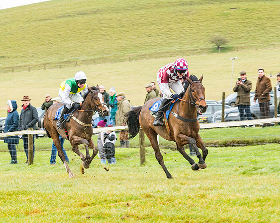 Race 1 - ITM 4 and 5 year Old Flat Race Div1 (48 of 86)