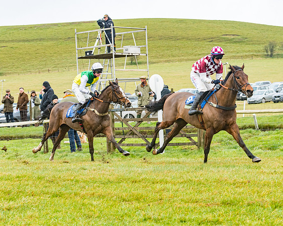 Race 1 - ITM 4 and 5 year Old Flat Race Div1 (50 of 86)