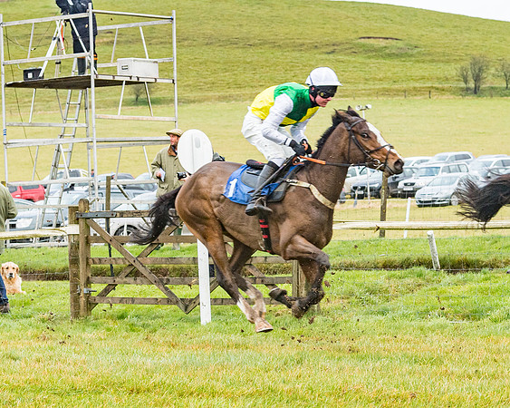 Race 1 - ITM 4 and 5 year Old Flat Race Div1 (53 of 86)
