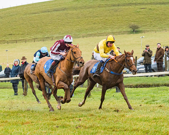 Race 1 - ITM 4 and 5 year Old Flat Race Div1 (59 of 86)