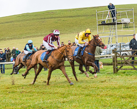 Race 1 - ITM 4 and 5 year Old Flat Race Div1 (62 of 86)
