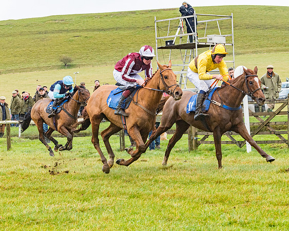 Race 1 - ITM 4 and 5 year Old Flat Race Div1 (64 of 86)