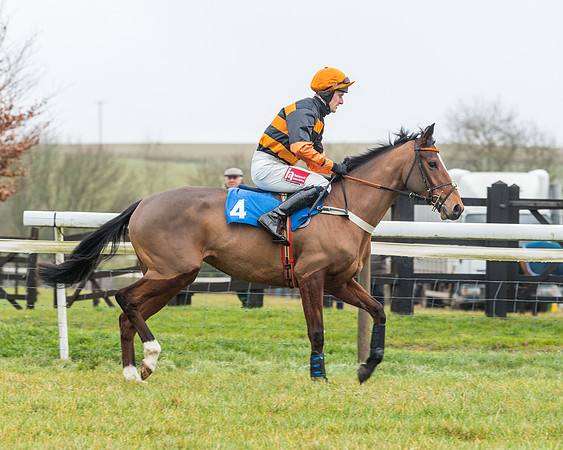 Race 2- ITM 4 and 5 year Old Flat Race Div2 (8 of 91)