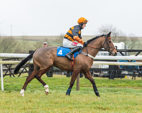 Race 2- ITM 4 and 5 year Old Flat Race Div2 (9 of 91)