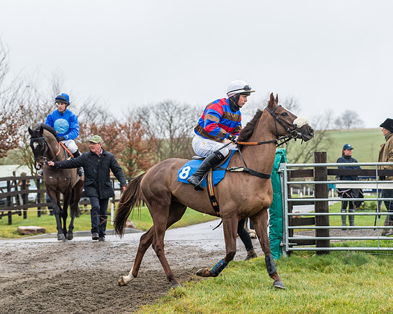Race 2- ITM 4 and 5 year Old Flat Race Div2 (20 of 91)