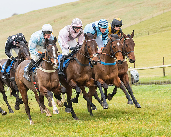 Race 2- ITM 4 and 5 year Old Flat Race Div2 (27 of 91)-2