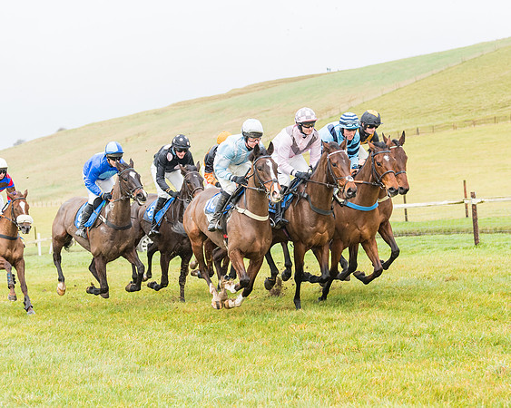 Race 2- ITM 4 and 5 year Old Flat Race Div2 (29 of 91)