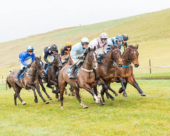 Race 2- ITM 4 and 5 year Old Flat Race Div2 (30 of 91)