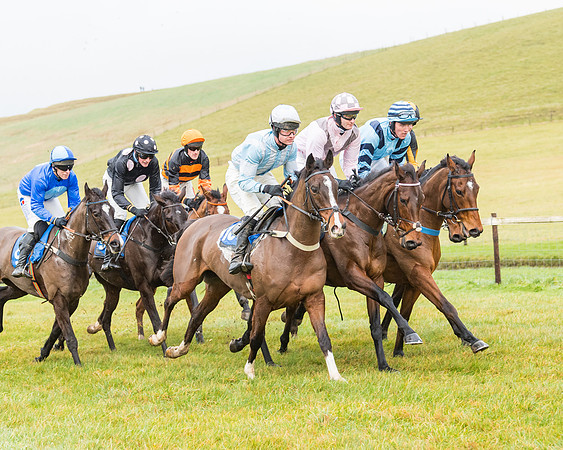 Race 2- ITM 4 and 5 year Old Flat Race Div2 (31 of 91)