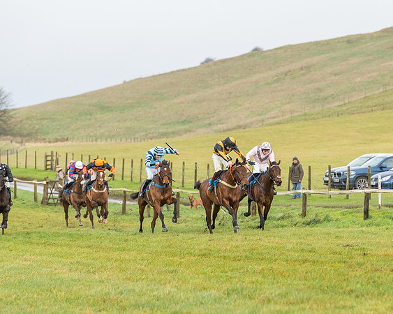 Race 2- ITM 4 and 5 year Old Flat Race Div2 (41 of 91)