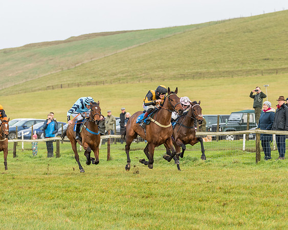 Race 2- ITM 4 and 5 year Old Flat Race Div2 (54 of 91)