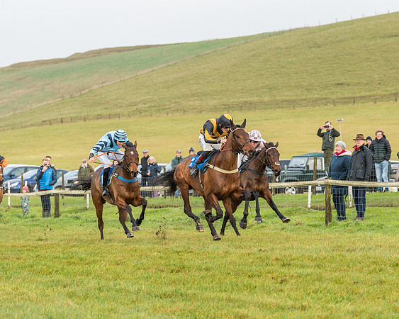 Race 2- ITM 4 and 5 year Old Flat Race Div2 (55 of 91)