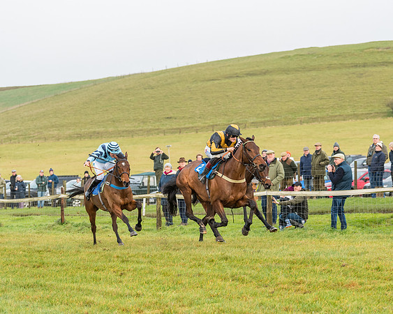 Race 2- ITM 4 and 5 year Old Flat Race Div2 (58 of 91)