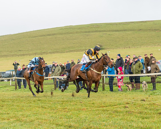 Race 2- ITM 4 and 5 year Old Flat Race Div2 (61 of 91)