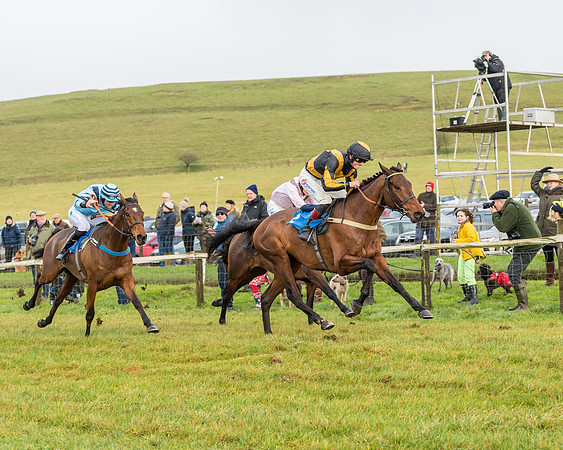 Race 2- ITM 4 and 5 year Old Flat Race Div2 (63 of 91)
