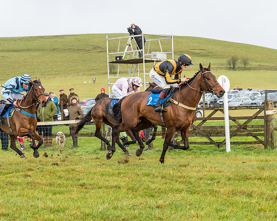 Race 2- ITM 4 and 5 year Old Flat Race Div2 (65 of 91)