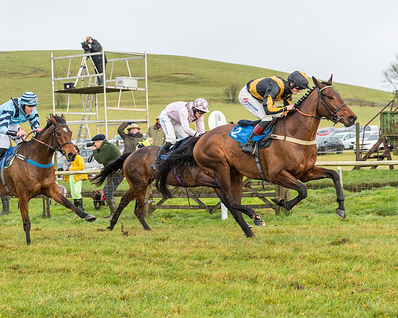 Race 2- ITM 4 and 5 year Old Flat Race Div2 (67 of 91)