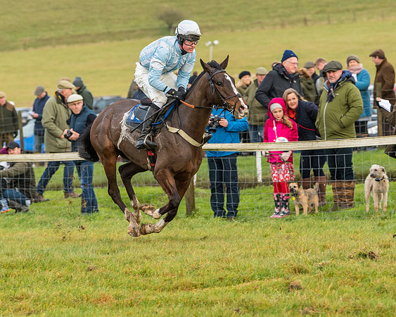 Race 2- ITM 4 and 5 year Old Flat Race Div2 (74 of 91)