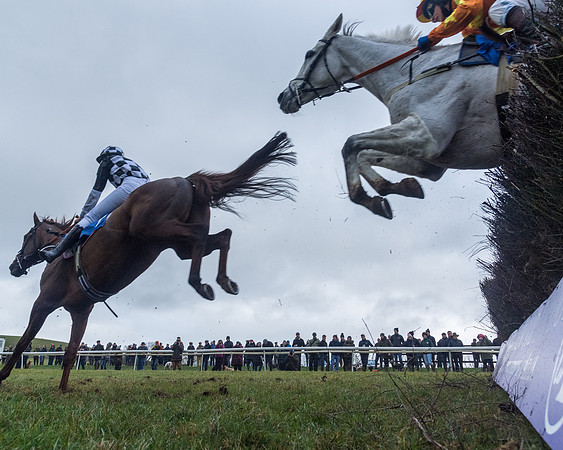 Race 5 - Jockey Club and ROR veteran Horse conditions Race. Division 1 - (109 of 171)
