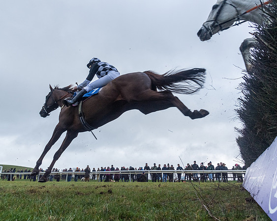 Race 5 - Jockey Club and ROR veteran Horse conditions Race. Division 1 - (108 of 171)