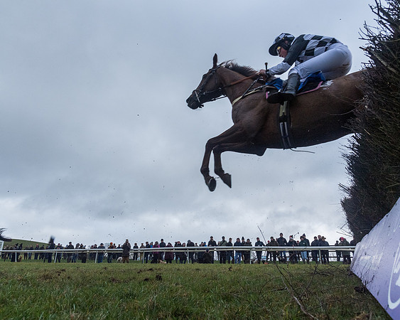 Race 5 - Jockey Club and ROR veteran Horse conditions Race. Division 1 - (106 of 171)